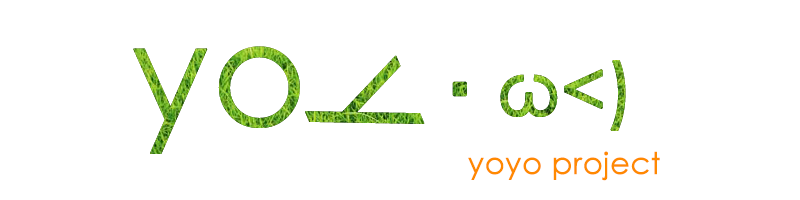 yoyo project
